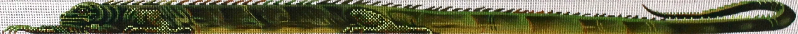 -Ian the Iguana-