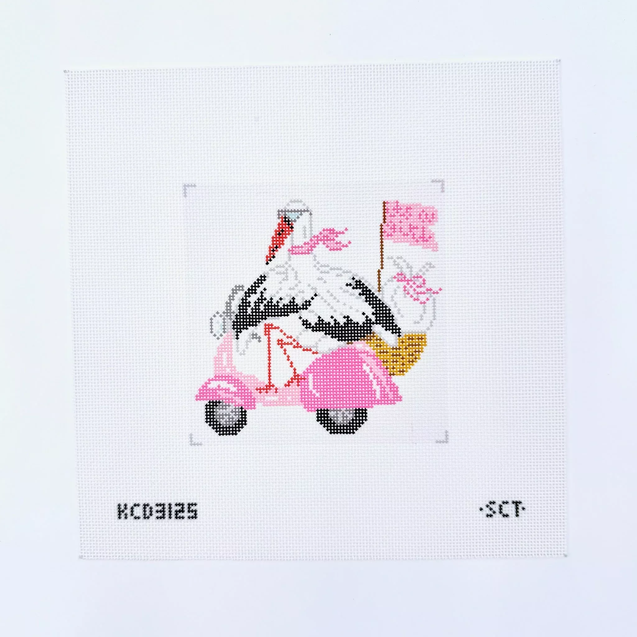 Special Delivery Stork - It’s a Girl Canvas